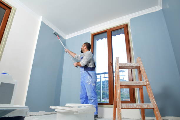 Best Drywall Sanding and Smoothing  in Wurtland, KY