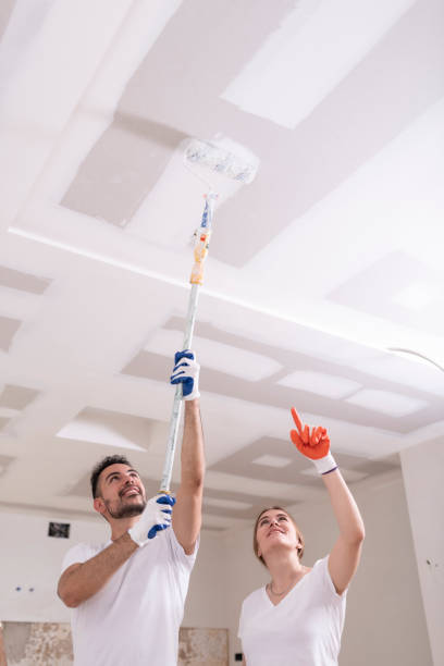 Best Ceiling Drywall Installation  in Wurtland, KY