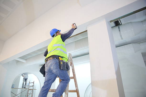 Best Drywall Removal and Disposal  in Wurtland, KY